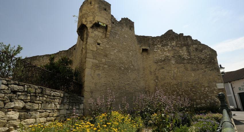 Die Pechnase an der Brucker Stadtmauer – im Vordergrund das pannonische Staudenbeet