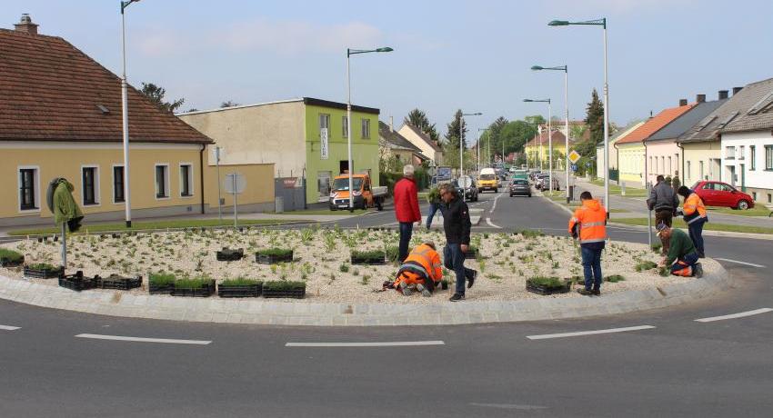 Bei der Bepflanzung des Kreisverkehrs im Frühjahr 2019. © Stadtgemeinde Bruck an der Leitha