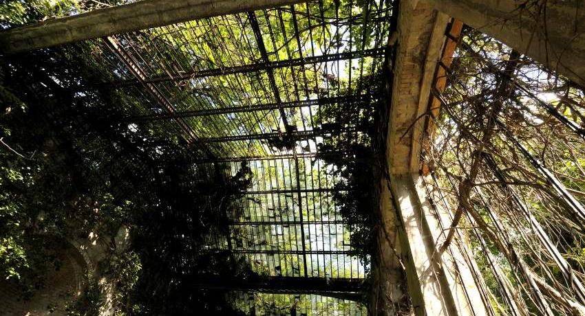 Ruinöses Glasdach der Orangerie im Harrachpark vor deren Freilegung