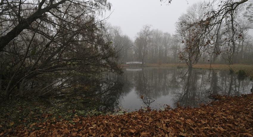  Blick auf Teich und rekonstruierte Brücke im herbstlichen Nebel